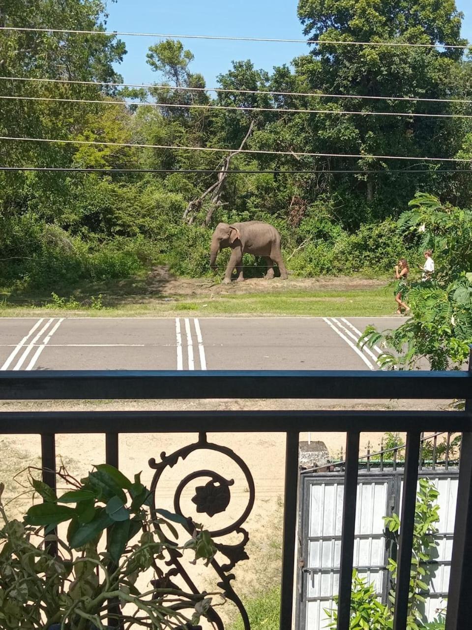 Peacock Villa Resort อุดาวาลาเว ห้อง รูปภาพ