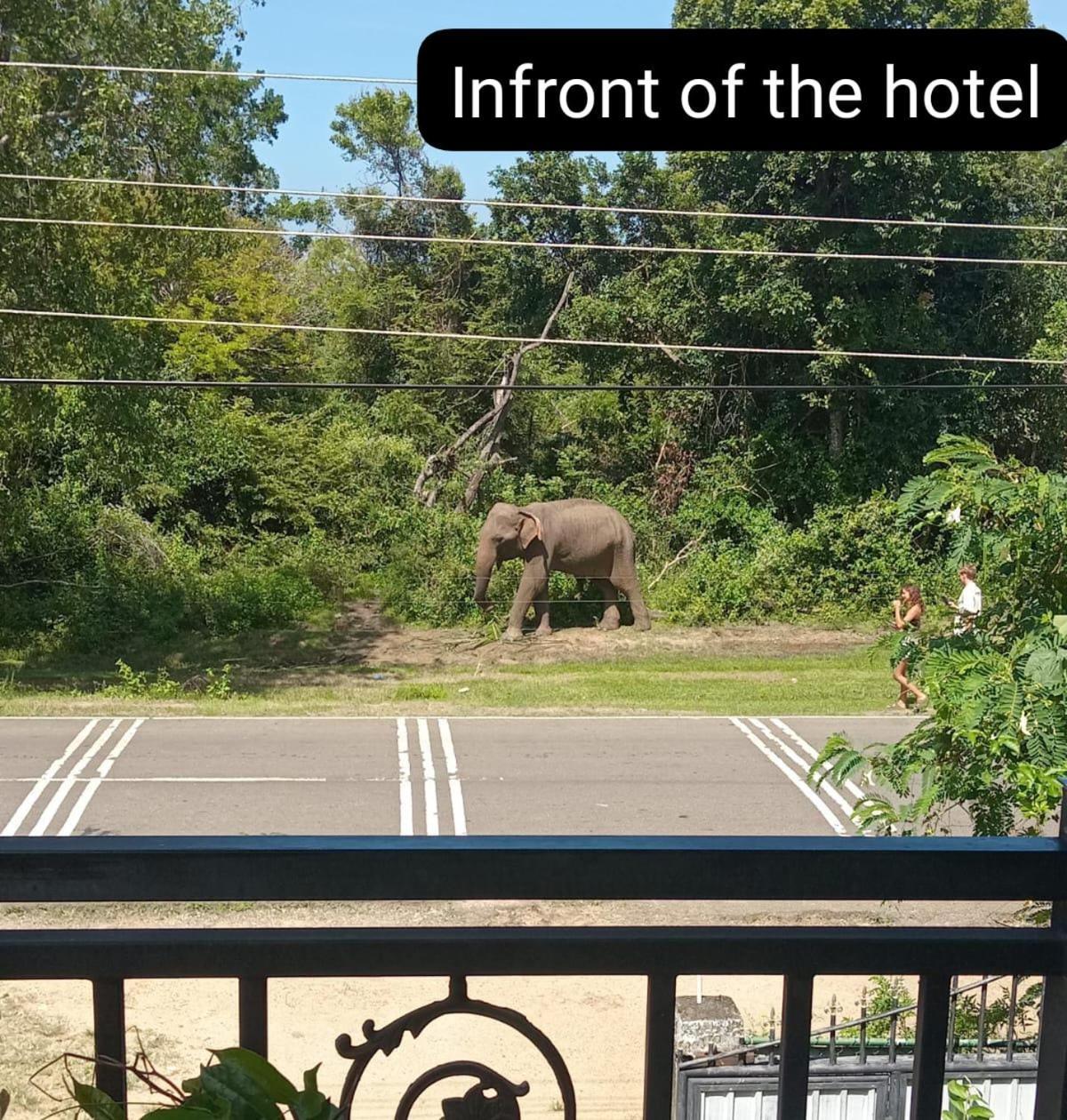Peacock Villa Resort อุดาวาลาเว ภายนอก รูปภาพ