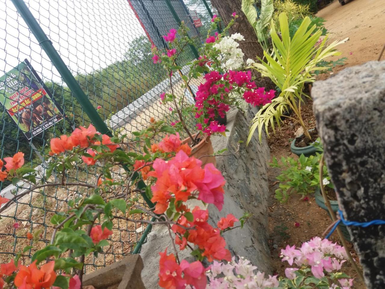 Peacock Villa Resort อุดาวาลาเว ภายนอก รูปภาพ
